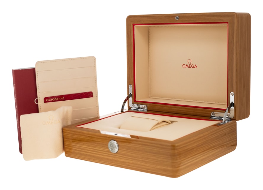 Omega Aqua Terra 150m Gents 231.10.42.21.01.002 Image 5